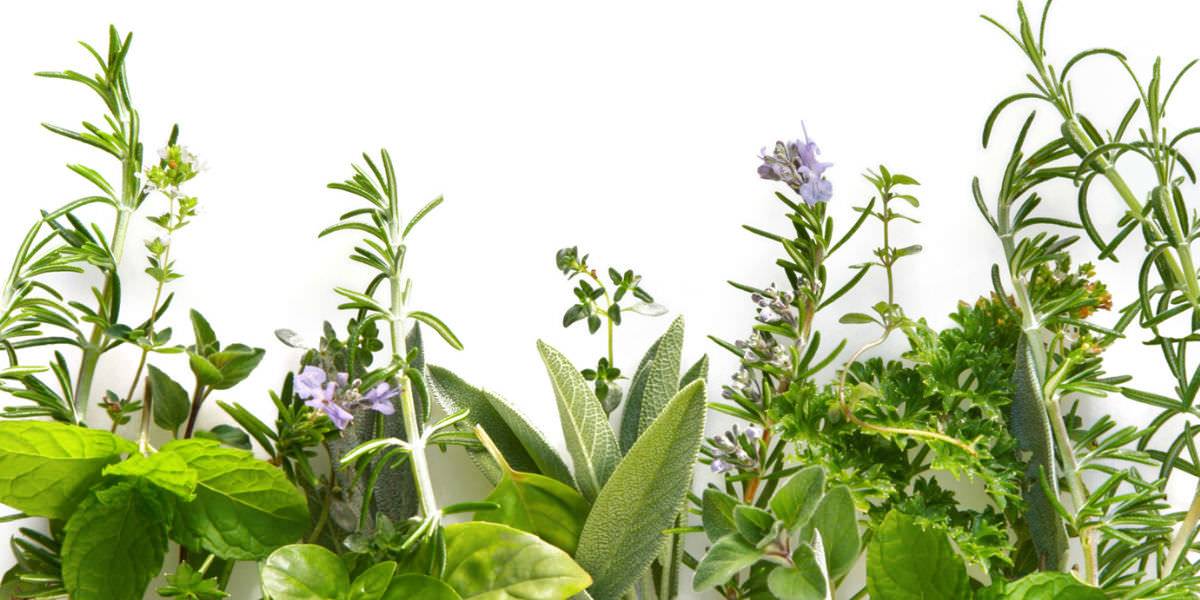 Vendita di farmaci omeopatici