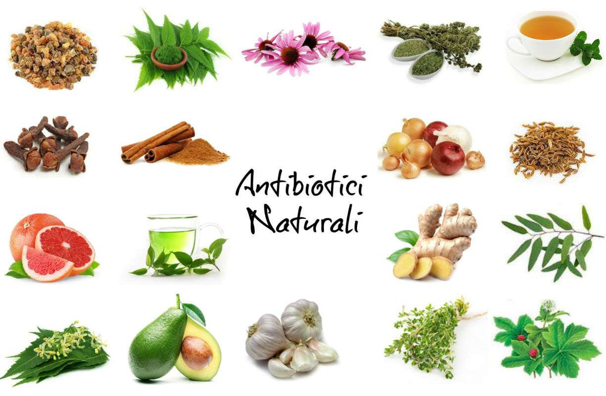 10 antibiotici ed antibatterici naturali che dovresti sempre avere in casa