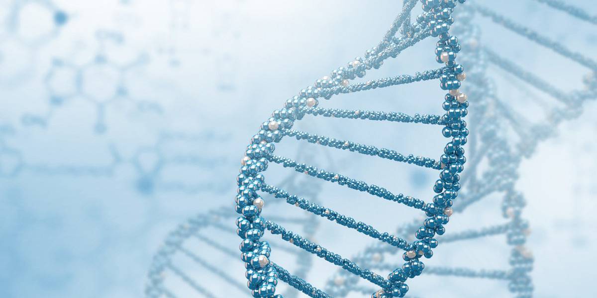 Test genetico: Nutrigen-Explorer 