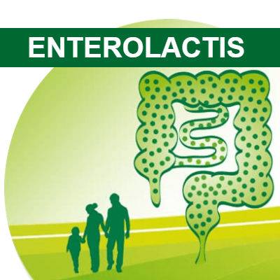 Enterolactis adulti 1+1